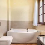 Caini -